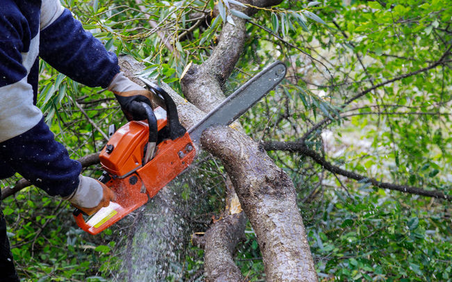 Ngày Lập thu, nên kiêng gì để được may mắn? - Ảnh 2.