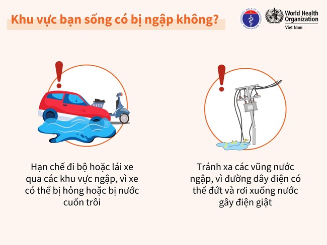 Bộ Y tế khuyến cáo: Người dân vùng bão lũ không sử dụng gia súc, gia cầm chết chế biến thực phẩm - Ảnh 1.