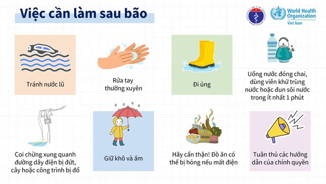 Bộ Y tế khuyến cáo: Người dân vùng bão lũ không sử dụng gia súc, gia cầm chết chế biến thực phẩm - Ảnh 4.