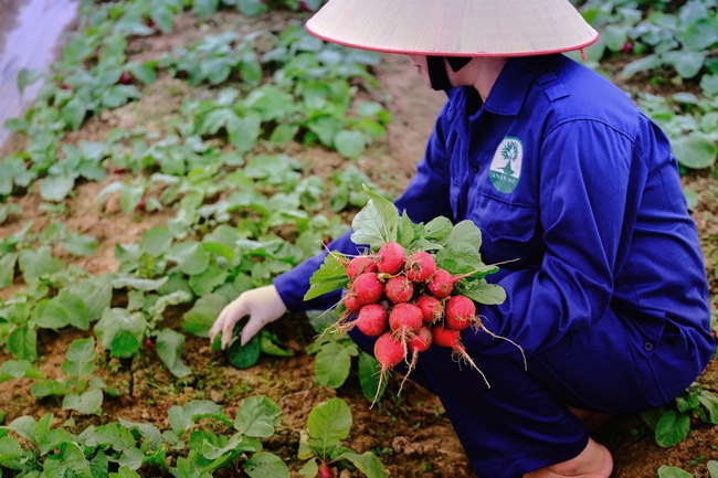 Anpaso – Thương hiệu thực phẩm sạch cho khởi đầu vững chắc của bé - Ảnh 4.