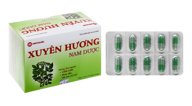 Cảm xuyên hương là thuốc gì, có tác dụng chữa cảm cúm, cảm lạnh như thế nào? - Ảnh 1.