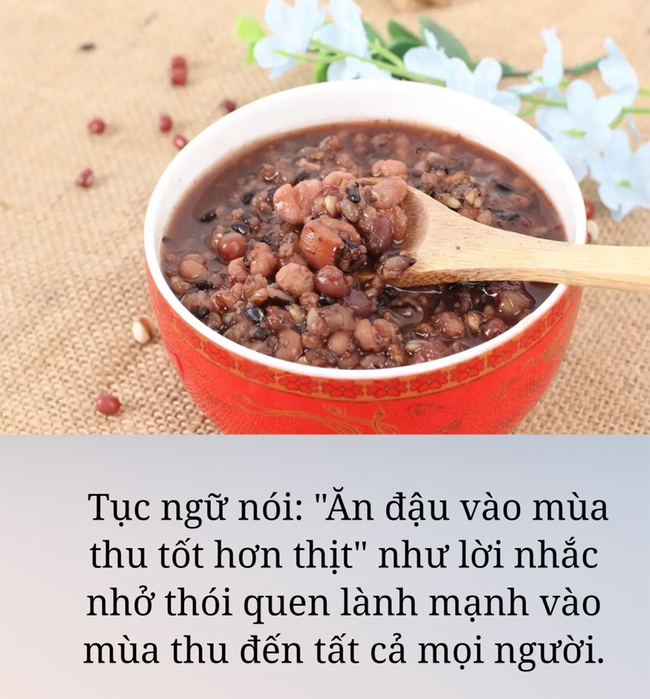 Ăn đậu vào mùa thu tốt hơn gấp nhiều lần ăn thịt: Thêm 6 loại đậu giàu kali, canxi vào chế độ ăn, cơ thể sẽ biết ơn bạn - Ảnh 1.