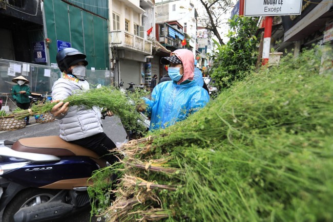 Loại lá không thể thiếu vào ngày cuối năm của người Việt: Đem tắm thì tốt sức khỏe, rửa mặt thì da hồng hào - Ảnh 1.