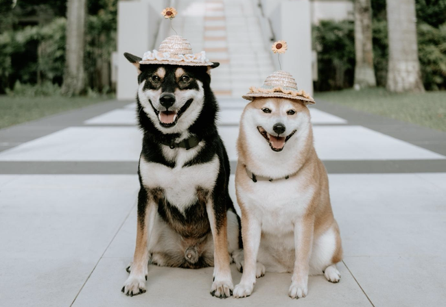 Sofitel nâng tầm du lịch gia đình với những trải nghiệm sáng tạo khắp châu Á - Ảnh 3. Sofitel nâng tầm du lịch gia đình với những trải nghiệm sáng tạo khắp châu Á - Ảnh 3.