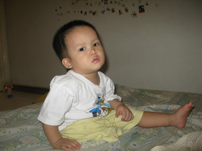 a - Ảnh 1. a - Ảnh 1.