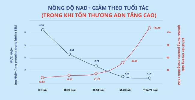 Vì sao NMN được xem là "chìa khóa" chống lão hóa? - Ảnh 1. Vì sao NMN được xem là "chìa khóa" chống lão hóa? - Ảnh 1.