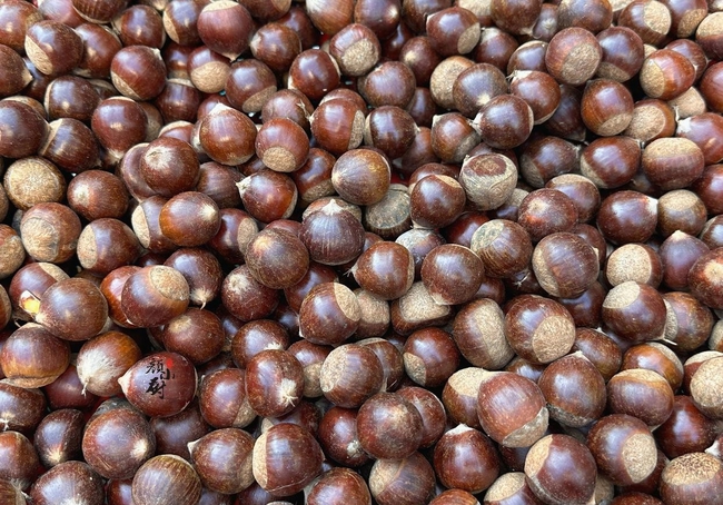 Bí quyết cấp đông hạt dẻ chuẩn bếp nhà: Lấy ra nấu ngay, dẻo bùi như mới bóc, trữ một lần ăn ngon tới Tết - Ảnh 2. Bí quyết cấp đông hạt dẻ chuẩn bếp nhà: Lấy ra nấu ngay, dẻo bùi như mới bóc, trữ một lần ăn ngon tới Tết - Ảnh 2.