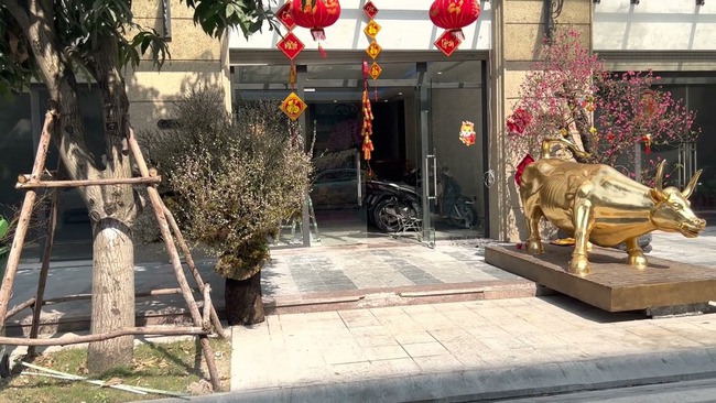 Huấn Hoa Hồng giàu thế nào? - Ảnh 2. Huấn Hoa Hồng giàu thế nào? - Ảnh 2.