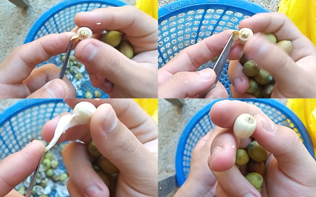 Thứ hạt người Việt thường dùng để nấu chè, ai ngờ lại là “báu vật” cho tim mạch, tiết niệu, cân bằng nội tiết - Ảnh 1. Thứ hạt người Việt thường dùng để nấu chè, ai ngờ lại là “báu vật” cho tim mạch, tiết niệu, cân bằng nội tiết - Ảnh 1.