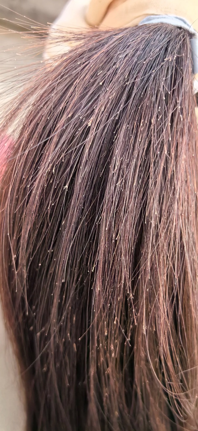 Liệu phần tóc chẻ ngọn có thể tự phục hồi nếu không cắt không? - Ảnh 4.