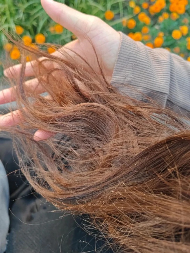 Liệu phần tóc chẻ ngọn có thể tự phục hồi nếu không cắt không? - Ảnh 3.