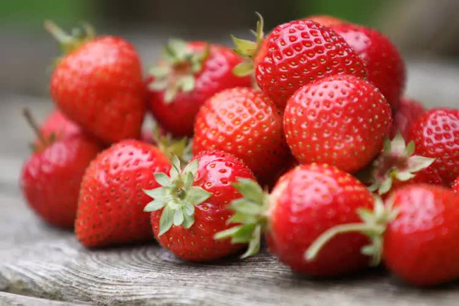 1800x1200healthbenefitsofstrawberryrefguide-17424846048911239145067.jpg