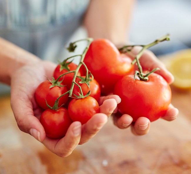 fresh-whole-tomatoes-f02028c-1740990179733541788732-1740995366541-17409953666461388705489-1741013626564-17410136266491323467299.jpg