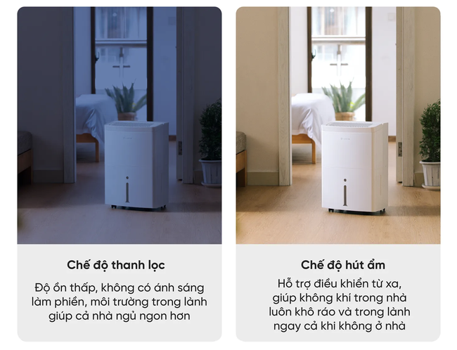 5 chiếc máy hút ẩm giá chỉ dưới 3 triệu này sẽ giúp chị em không còn mệt mỏi vì ngày trời nồm - Ảnh 16.