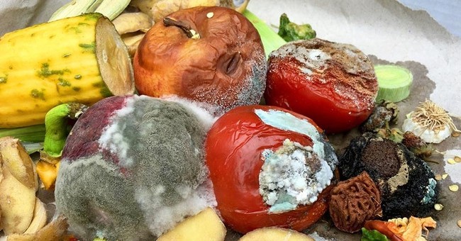 Thực phẩm mốc cần vứt bỏ hay cắt phần hỏng vẫn dùng được? Những dấu hiệu nhận biết không phải ai cũng rõ - Ảnh 1. Thực phẩm mốc cần vứt bỏ hay cắt phần hỏng vẫn dùng được? Những dấu hiệu nhận biết không phải ai cũng rõ - Ảnh 1.