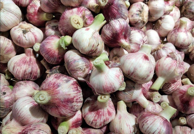 5 loại tỏi không nên mua - đến cả người bán cũng không dám ăn! - Ảnh 1. 5 loại tỏi không nên mua - đến cả người bán cũng không dám ăn! - Ảnh 1.