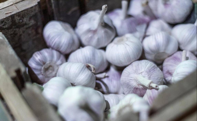 5 loại tỏi không nên mua - đến cả người bán cũng không dám ăn! - Ảnh 4. 5 loại tỏi không nên mua - đến cả người bán cũng không dám ăn! - Ảnh 4.