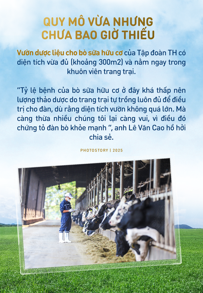 q3de8736a1-3dff-4e4e-994b-ee25d6af2d88-17471930857081862219128.png