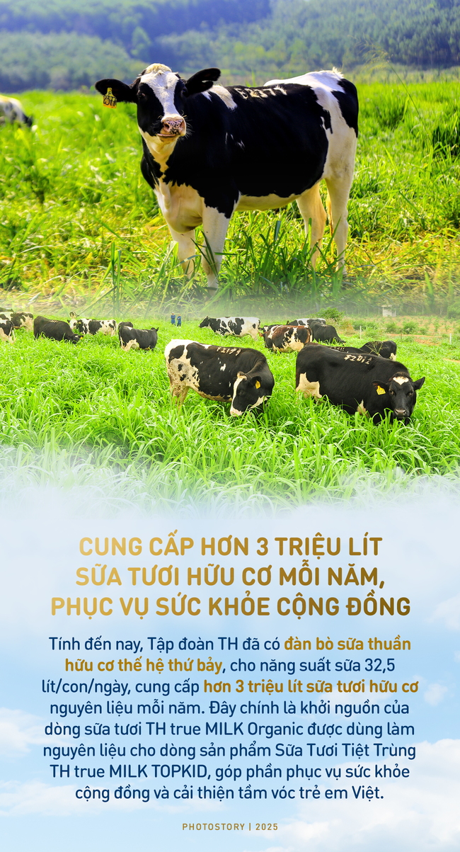 Bí mật vườn thảo dược cho bò sữa ngay trong trang trại TH true MILK - Ảnh 6. Bí mật vườn thảo dược cho bò sữa ngay trong trang trại TH true MILK - Ảnh 6.