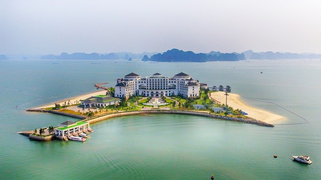 kinh-nghiem-di-dao-reu-chi-tiet-nhat-danh-cho-hoi-ua-kham-pha-ha-long-1641512105-1747294808417401739745.jpg