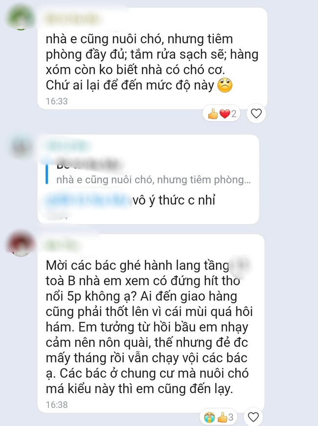 Chó phóng uế ra hành lang, 5 nhà nuôi nhưng không ai nhận: Yêu thú cưng xin đừng thiếu ý thức - Ảnh 3. Chó phóng uế ra hành lang, 5 nhà nuôi nhưng không ai nhận: Yêu thú cưng xin đừng thiếu ý thức - Ảnh 3.