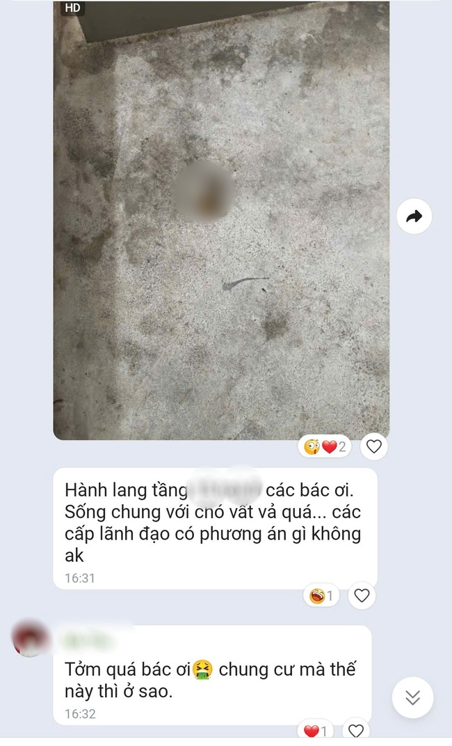 Chó phóng uế ra hành lang, 5 nhà nuôi nhưng không ai nhận: Yêu thú cưng xin đừng thiếu ý thức - Ảnh 2. Chó phóng uế ra hành lang, 5 nhà nuôi nhưng không ai nhận: Yêu thú cưng xin đừng thiếu ý thức - Ảnh 2.