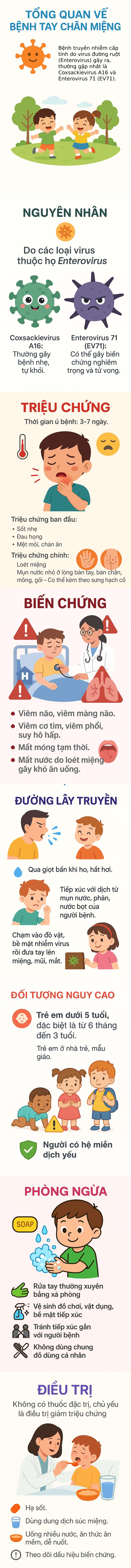 benh-tay-chan-mieng-info-17478077748561775924991.jpg