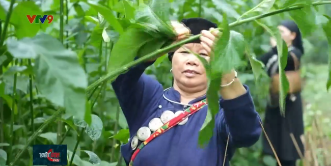 Ngôi làng kỳ lạ ở miền Bắc: Cả làng ‘ăn chung nồi, tiền chung túi’, khách muốn vào làng phải rửa tay bằng nước giếng thần - Ảnh 3. Ngôi làng kỳ lạ ở miền Bắc: Cả làng ‘ăn chung nồi, tiền chung túi’, khách muốn vào làng phải rửa tay bằng nước giếng thần - Ảnh 3.