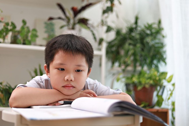 Hình ảnh quảng cáo khoá học tiếng Anh đang gây tranh cãi gay gắt: Sao lại đánh đồng việc học của con bằng sự hy sinh? - Ảnh 2. Hình ảnh quảng cáo khoá học tiếng Anh đang gây tranh cãi gay gắt: Sao lại đánh đồng việc học của con bằng sự hy sinh? - Ảnh 2.