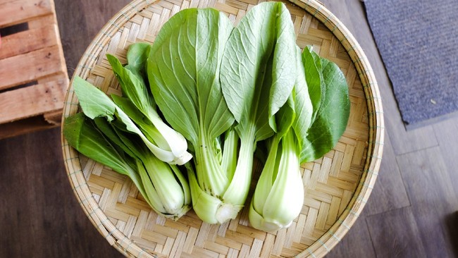 Loại rau từng chỉ dành cho người nghèo nay đã thành "nhân sâm" trên mâm cơm, cực tốt cho da nhưng ít ai biết - Ảnh 1. Loại rau từng chỉ dành cho người nghèo nay đã thành "nhân sâm" trên mâm cơm, cực tốt cho da nhưng ít ai biết - Ảnh 1.