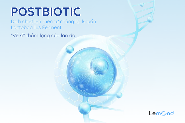 Lemond Postbiotic Micellar Water – Làm sạch làn da thông minh, chuẩn nàng hiện đại - Ảnh 3. Lemond Postbiotic Micellar Water – Làm sạch làn da thông minh, chuẩn nàng hiện đại - Ảnh 3.