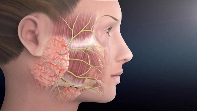 Nam diễn viên Lãnh Thanh bị liệt dây thần kinh số 7: Cảnh báo 3 thói quen gây bệnh mà giới trẻ thường mắc phải - Ảnh 2. Nam diễn viên Lãnh Thanh bị liệt dây thần kinh số 7: Cảnh báo 3 thói quen gây bệnh mà giới trẻ thường mắc phải - Ảnh 2.