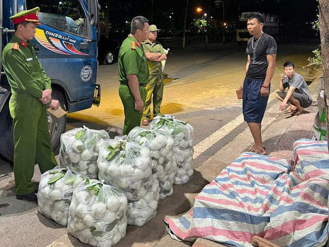 Rau củ chứa hóa chất liên tục bị phát hiện: 15 loại rau củ được đánh giá là ít tồn dư thuốc trừ sâu nhất - Ảnh 2. Rau củ chứa hóa chất liên tục bị phát hiện: 15 loại rau củ được đánh giá là ít tồn dư thuốc trừ sâu nhất - Ảnh 2.