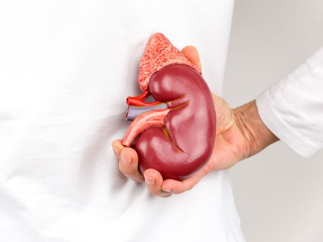Suy thận ngày càng xuất hiện nhiều ở người trẻ: BS chỉ rõ thủ phạm hàng đầu gây bệnh - Ảnh 1. Suy thận ngày càng xuất hiện nhiều ở người trẻ: BS chỉ rõ thủ phạm hàng đầu gây bệnh - Ảnh 1.