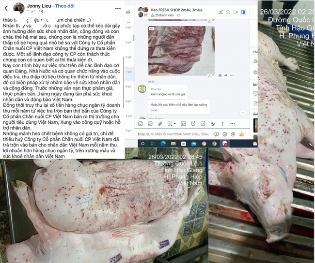 NÓNG: C.P. Việt Nam thừa nhận hình ảnh heo bệnh bị “tố” là có thật, được chụp tại cơ sở gia công - Ảnh 2. NÓNG: C.P. Việt Nam thừa nhận hình ảnh heo bệnh bị “tố” là có thật, được chụp tại cơ sở gia công - Ảnh 2.
