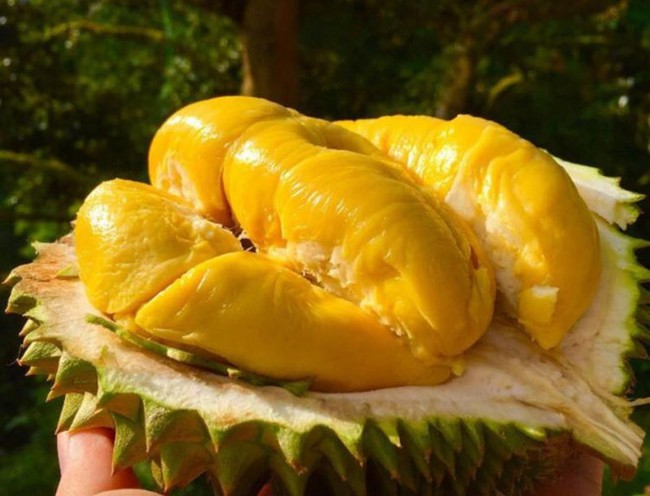 Muốn da đẹp luôn ẩm mịn, trắng sáng vào mùa hè? Ăn ngay 5 loại trái cây "thần kỳ" này! - Ảnh 2. Muốn da đẹp luôn ẩm mịn, trắng sáng vào mùa hè? Ăn ngay 5 loại trái cây "thần kỳ" này! - Ảnh 2.