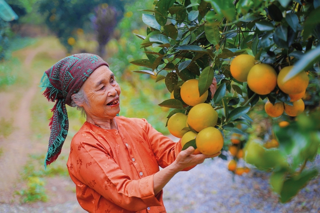 Từ 1/7/2025: Thêm nhiều hàng hóa, dịch vụ được miễn thuế VAT - Người dân hưởng lợi gì? - Ảnh 2.