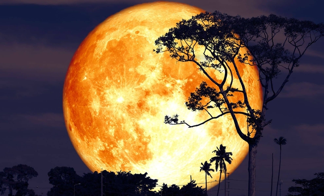 dont-miss-this-years-stunning-buck-moon-your-guide-to-july-2025s-lunar-spectacle-1751972535060842285756.jpg