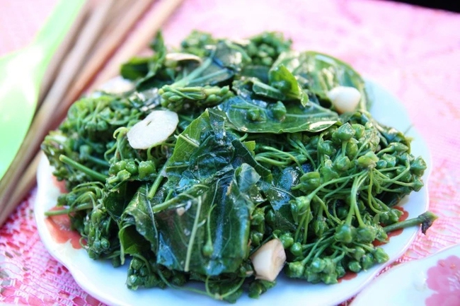&quot;Thần dược xanh&quot; của người dân vùng núi Tây Bắc: Công dụng bất ngờ, bổ hơn cả uống vitamin tổng hợp - Ảnh 2.