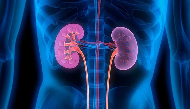 Có biểu hiện nhỏ xíu ở mắt nhưng lại là “lời kêu cứu” của thận, bỏ qua coi chừng chạy thận lúc nào chẳng hay - Ảnh 1.