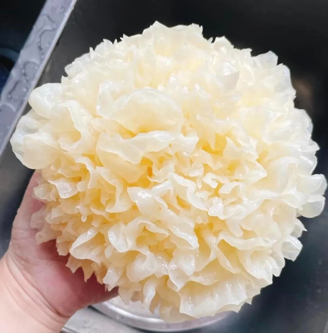 Bỏ ngay kem dưỡng tiền triệu, thứ trong bếp này giúp da căng mọng chỉ sau 7 ngày! - Ảnh 2.