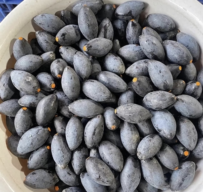 Thứ quả &quot;đen sì&quot; giàu vitamin C gấp 10 lần táo: Làm như này thành món ăn bổ dưỡng để cả nửa năm vẫn ngon - Ảnh 1.
