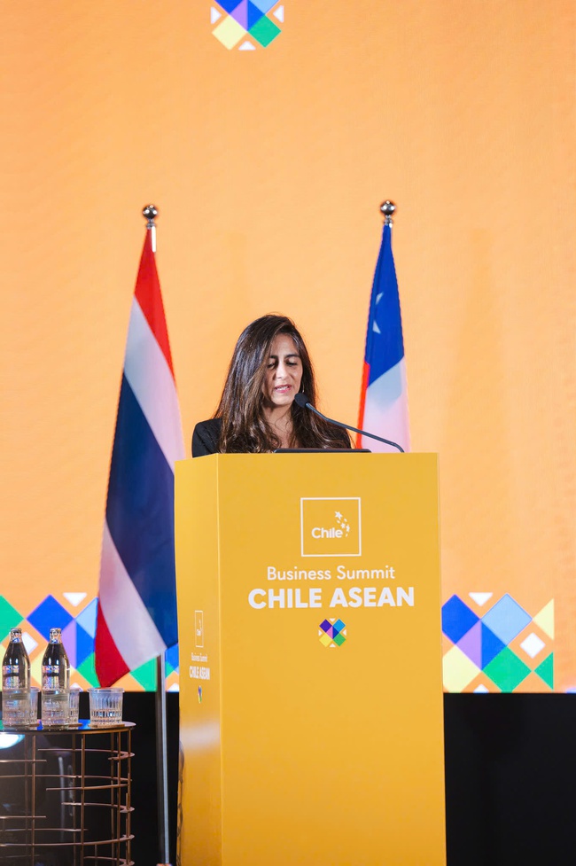 Sản phẩm của Việt Nam ngày càng hiện diện sâu rộng tại Chile và Mỹ Latinh - Ảnh 1. Sản phẩm của Việt Nam ngày càng hiện diện sâu rộng tại Chile và Mỹ Latinh - Ảnh 1.