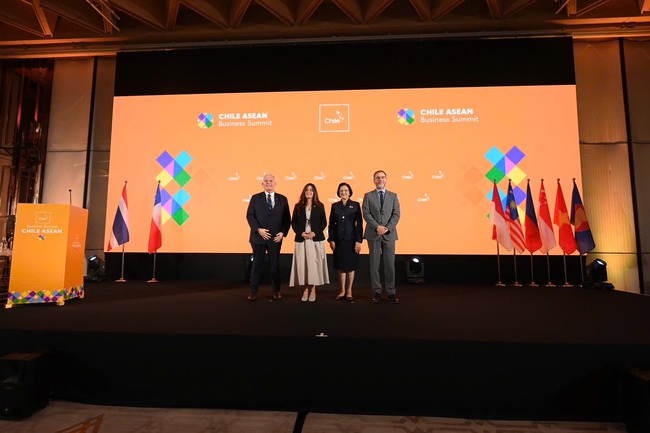 Sản phẩm của Việt Nam ngày càng hiện diện sâu rộng tại Chile và Mỹ Latinh - Ảnh 3. Sản phẩm của Việt Nam ngày càng hiện diện sâu rộng tại Chile và Mỹ Latinh - Ảnh 3.