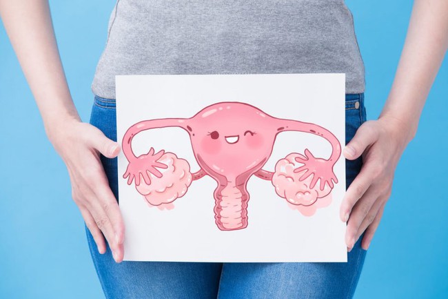 Ngày càng nhiều chị em sau tuổi 30 muốn đi trữ trứng, đông phôi: Muôn vàn lý do phía sau ai nghe cũng đồng cảm, ai bảo chỉ dành cho mẹ đơn thân? - Ảnh 2.