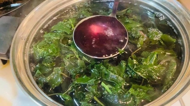 Tôi đã uống nước tía tô vắt chanh trong 1 tháng: Da giảm dị ứng, eo nhỏ thấy rõ và cải thiện hệ tiêu hóa nhưng chuyên gia nhắc nhở lưu ý 7 việc - Ảnh 1. Tôi đã uống nước tía tô vắt chanh trong 1 tháng: Da giảm dị ứng, eo nhỏ thấy rõ và cải thiện hệ tiêu hóa nhưng chuyên gia nhắc nhở lưu ý 7 việc - Ảnh 1.