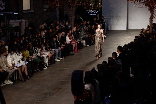 show - Ảnh 6.