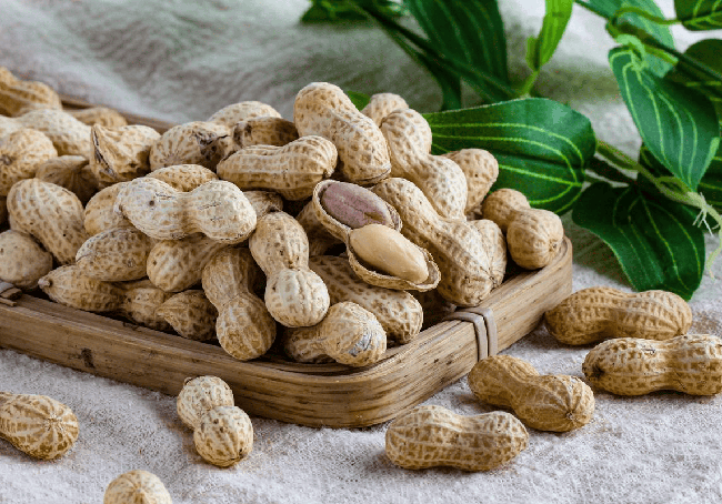 Trời sang thu, ai hay đau dạ dày càng phải ăn 6 món này, đơn giản mà dưỡng người cực hiệu quả - Ảnh 5.