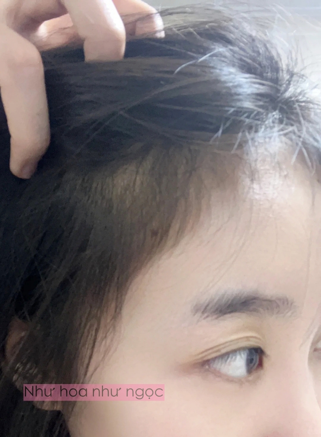 Nghe lời bà ngoại, tôi thử gội đầu bằng lá dâm bụt và phát hiện ra đây chính là “dầu gội tự nhiên” tốt nhất cho tóc - Ảnh 1.