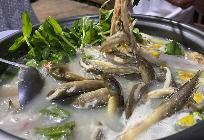 Việt Nam có loại cá quê bổ như &quot;nhân sâm dưới nước&quot;: Dưỡng thận, sáng mắt, tốt cho cả não và tim - Ảnh 4.